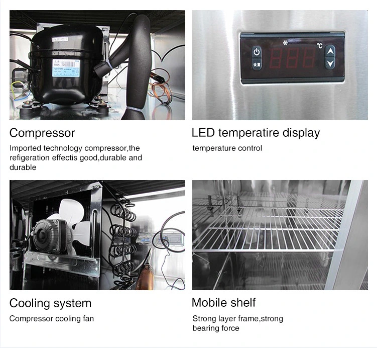 Refrigerator 6 Door Stainless Steel Refrigeration Equipment