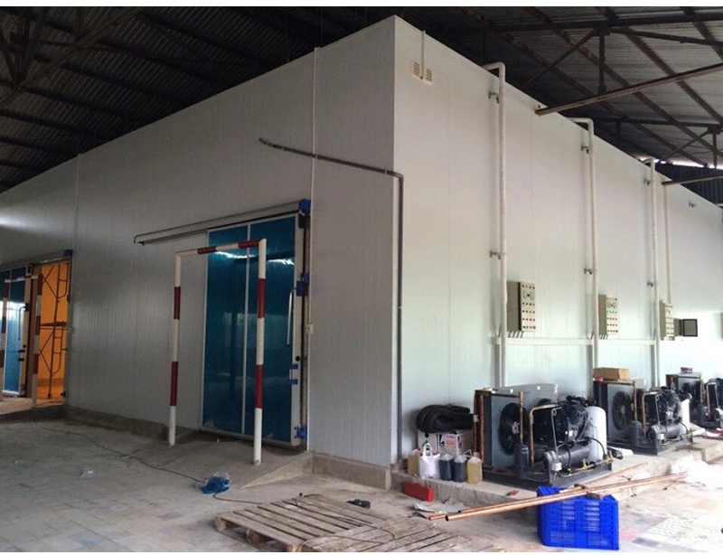 Large Capacity Supermarket Application Walk Refrigeration Cold Storage Room Equipment