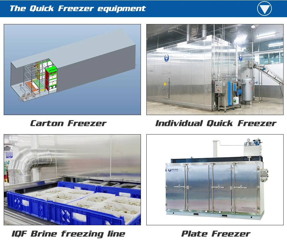 Supermarket Restaurant Big Size Refrigeration Equipment Walk in Freezer Storage Cold Room