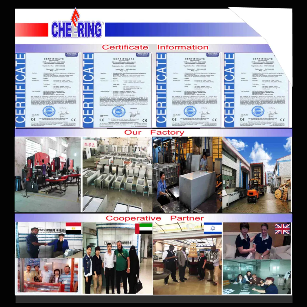 Commercial Bakery Equipment Price Electric Catering Equipment for Hamburger/Bread/Pizza